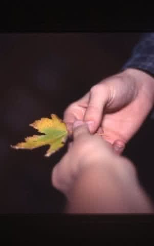 Chad Beall Holding Leaf
